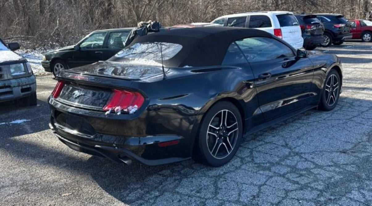 Ford Mustang Eco 2018