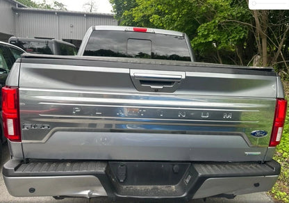 Ford F150 Platinum 2020